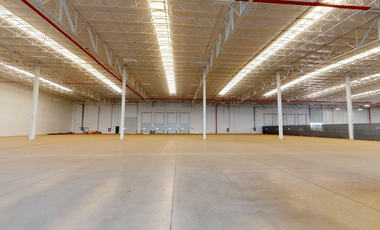 NAVE INDUSTRIAL EN RENTA EN LA ZONA DE LAS COLINAS, SILAO GUANAJUATO.