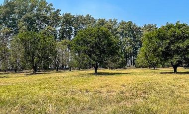 Lote de 800m2 en Azahares del Paraná, Fighiera.