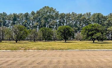 Lote de 800m2 en Azahares del Paraná, Fighiera.