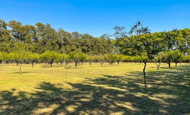 Lote de 800m2 en Azahares del Paraná, Fighiera.