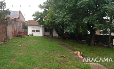 Casa - Luis Guillon