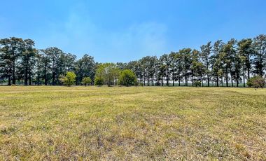 Lote de 1000m2 en Azahares del Paraná, Fighiera.