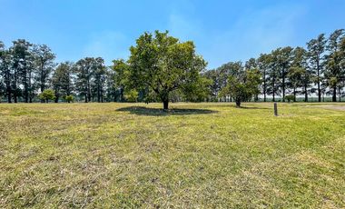 Lote de 1000m2 en Azahares del Paraná, Fighiera.
