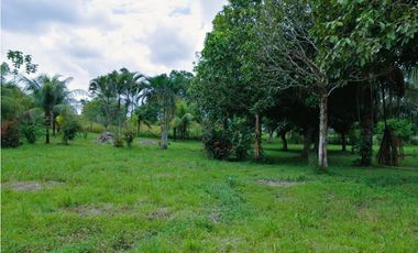 i023018 – Venta Terreno - San José de Yarinacocha
