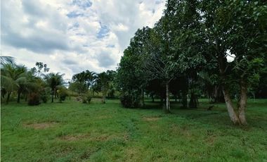 i023018 – Venta Terreno - San José de Yarinacocha
