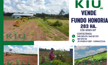I023-107,108, 109 - VENTA DE FUNDO - HUANUCO