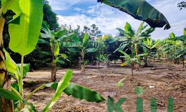 i2024005-Venta terreno – Yarinacocha