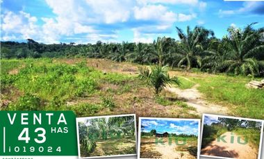 i019024 Fundo Venta – Irazola