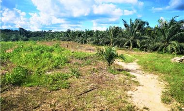 i019024 Fundo Venta – Irazola