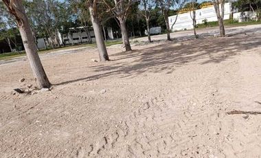Se renta Bodega con Oficinas y patio de maniobra