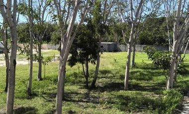 Se renta Bodega con Oficinas y patio de maniobra
