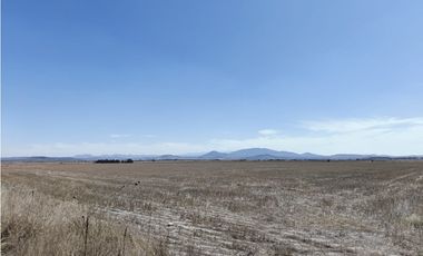 TERRENO DE 30 HECTAREAS EN VENTA, ZAPOTLAN HGO, ZONA PLATAH