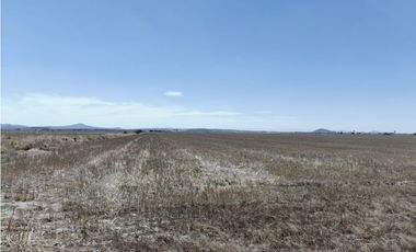 TERRENO DE 30 HECTAREAS EN VENTA, ZAPOTLAN HGO, ZONA PLATAH