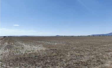 TERRENO DE 30 HECTAREAS EN VENTA, ZAPOTLAN HGO, ZONA PLATAH