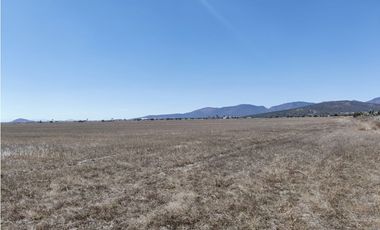 TERRENO DE 30 HECTAREAS EN VENTA, ZAPOTLAN HGO, ZONA PLATAH