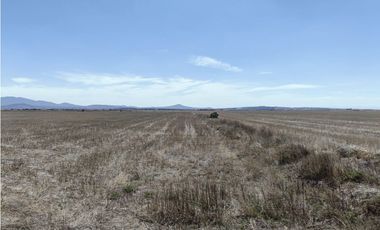 TERRENO DE 30 HECTAREAS EN VENTA, ZAPOTLAN HGO, ZONA PLATAH