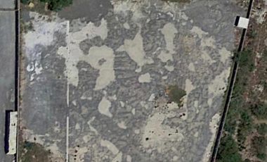 Terreno en Renta sobre Carretera a Laredo – Ciénega de Flore