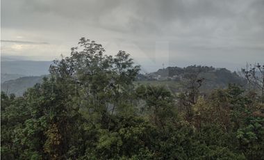 Apartamento arriendo barrio la Francia Manizales
