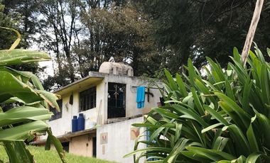 Rancho en venta, con Hectáreas de Bosque, caballerizas y jaulas para gallos.