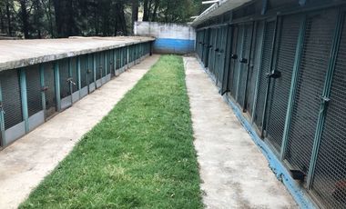 Rancho en venta, con Hectáreas de Bosque, caballerizas y jaulas para gallos.