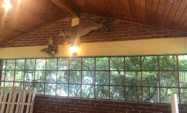 Rancho en venta, con Hectáreas de Bosque, caballerizas y jaulas para gallos.
