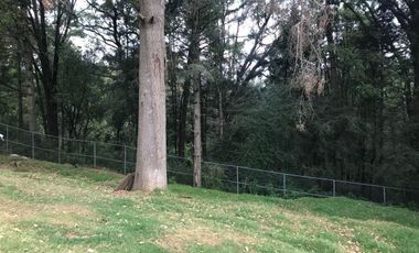 Rancho en venta, con Hectáreas de Bosque, caballerizas y jaulas para gallos.