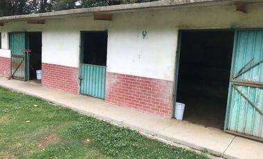 Rancho en venta, con Hectáreas de Bosque, caballerizas y jaulas para gallos.