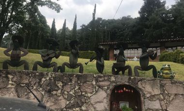 Rancho en venta, con Hectáreas de Bosque, caballerizas y jaulas para gallos.