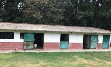 Rancho en venta, con Hectáreas de Bosque, caballerizas y jaulas para gallos.