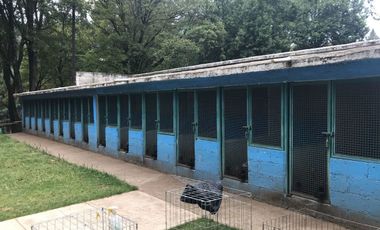 Rancho en venta, con Hectáreas de Bosque, caballerizas y jaulas para gallos.