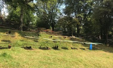 Rancho en venta, con Hectáreas de Bosque, caballerizas y jaulas para gallos.