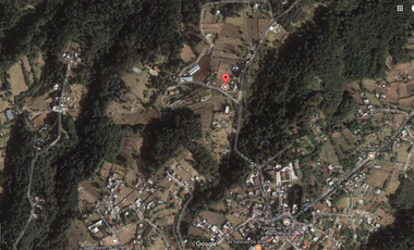 Rancho en venta, con Hectáreas de Bosque, caballerizas y jaulas para gallos.