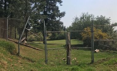 Rancho en venta, con Hectáreas de Bosque, caballerizas y jaulas para gallos.