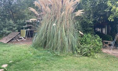 Calle Tres/Bailahuen Norte - Parcela - Venta