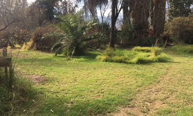 San Francisco/Olga Salas - Sitio - Venta