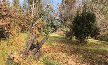 San Francisco/Olga Salas - Sitio - Venta