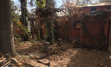 San Francisco/Olga Salas - Sitio - Venta