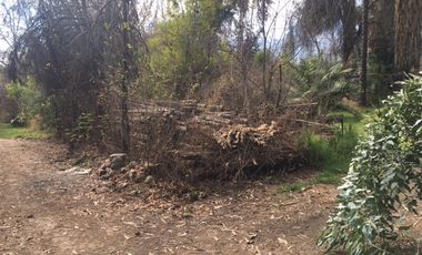 San Francisco/Olga Salas - Sitio - Venta