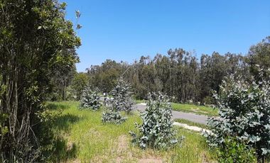 Av. Los Pescadores/Av. Quilén - Sitio - Venta