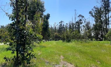 Av. Los Pescadores/Av. Quilén - Sitio - Venta