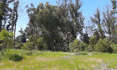 Av. Los Pescadores/Av. Quilén - Sitio - Venta