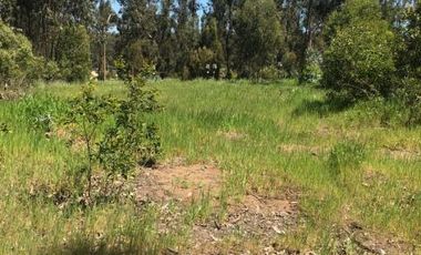 Av. Los Pescadores/Av. Quilén - Sitio - Venta