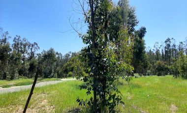 Av. Los Pescadores/Av. Quilén - Sitio - Venta