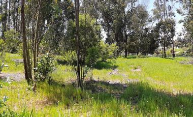 Av. Los Pescadores/Av. Quilén - Sitio - Venta