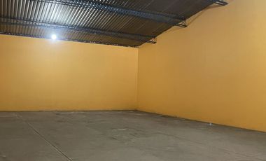 Bodega