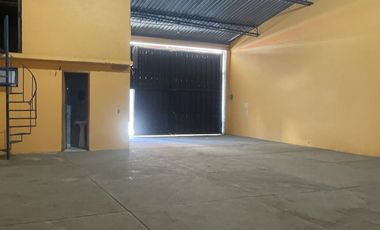 Bodega