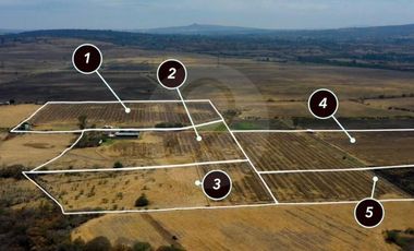 Terreno residencial en venta en Pueblo Matatlan
