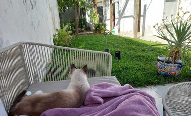 Casa en Venta en Campeche Guadalupe