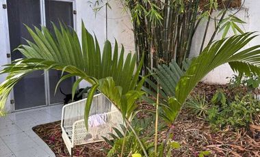 Casa en Venta en Campeche Guadalupe