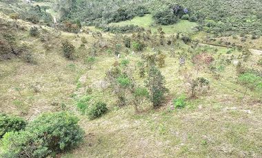Casa-Finca en Venta Ubicado en CONCEPCION Codigo 2015
